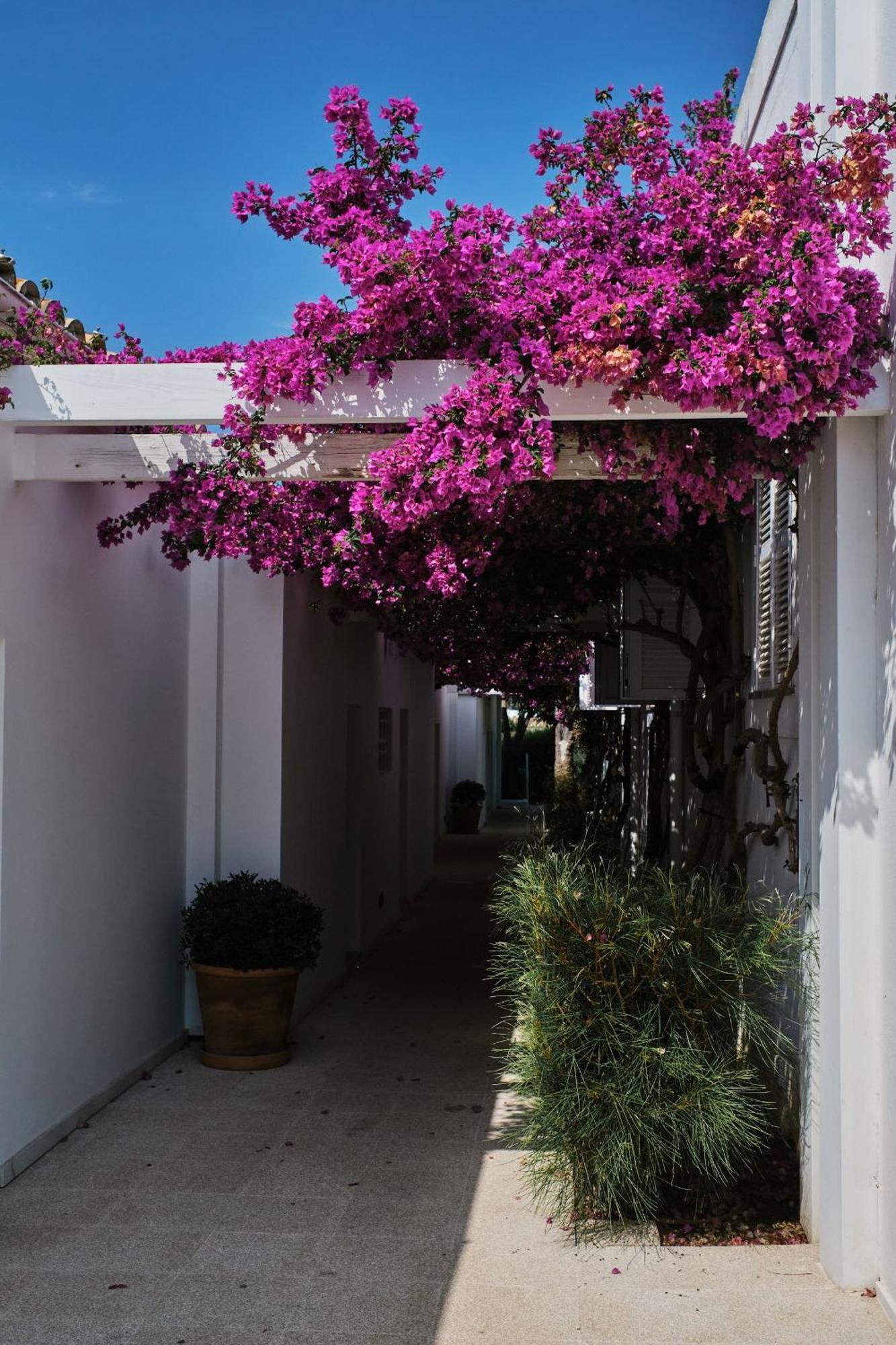 Prinsotel Mal Pas - Adults Only Alcudia  Exterior foto